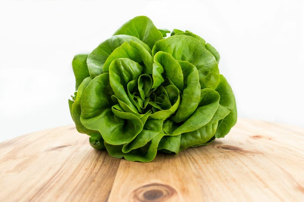 Fresh butter lettuce.