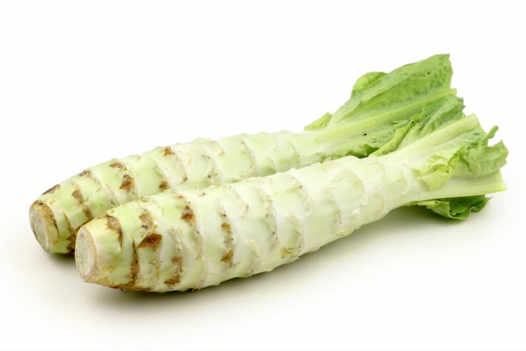 A pair of celtuce.