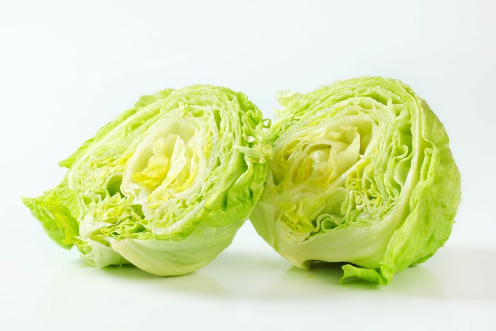 Iceberg lettuce sliced in half.