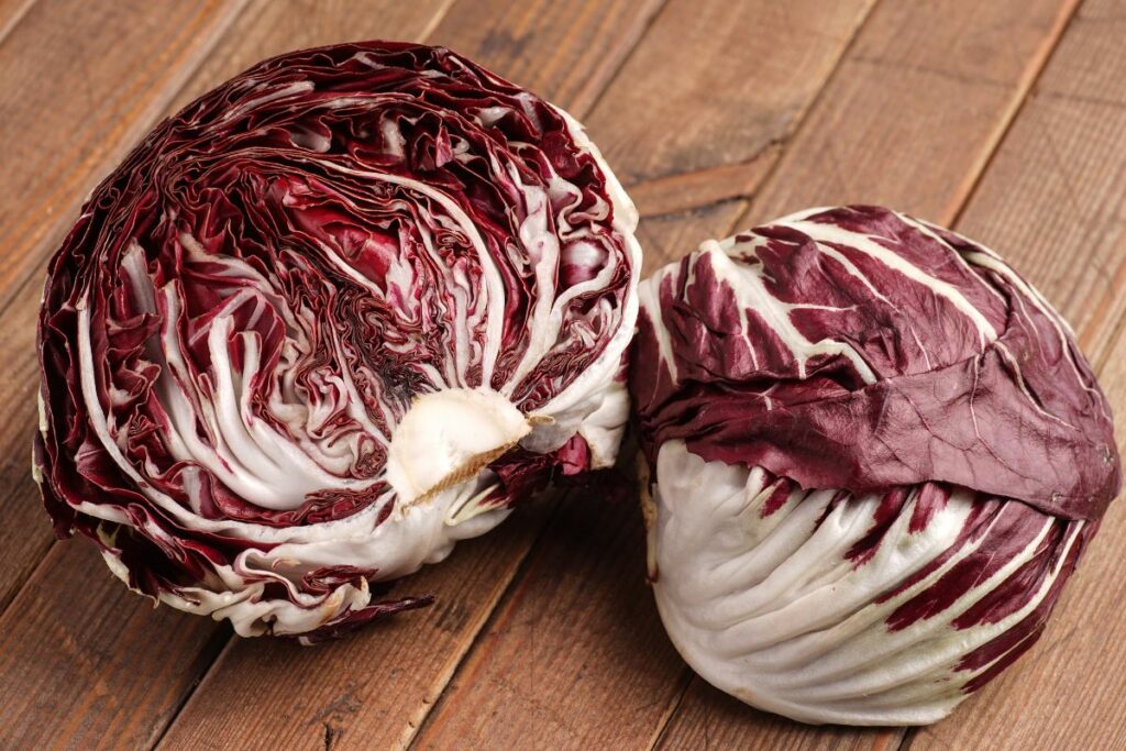 A pair of radicchio lettuce.