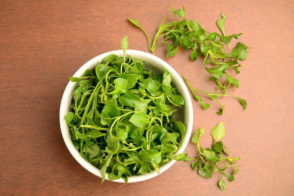 A bowl of watercress lettuce.