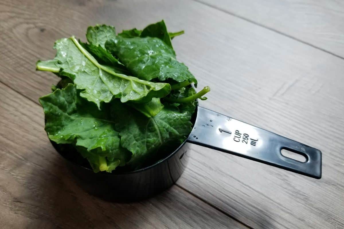 a measuring cup filled with baby kale leaves.