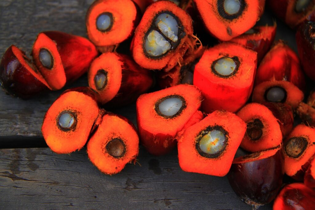 red palm oil.