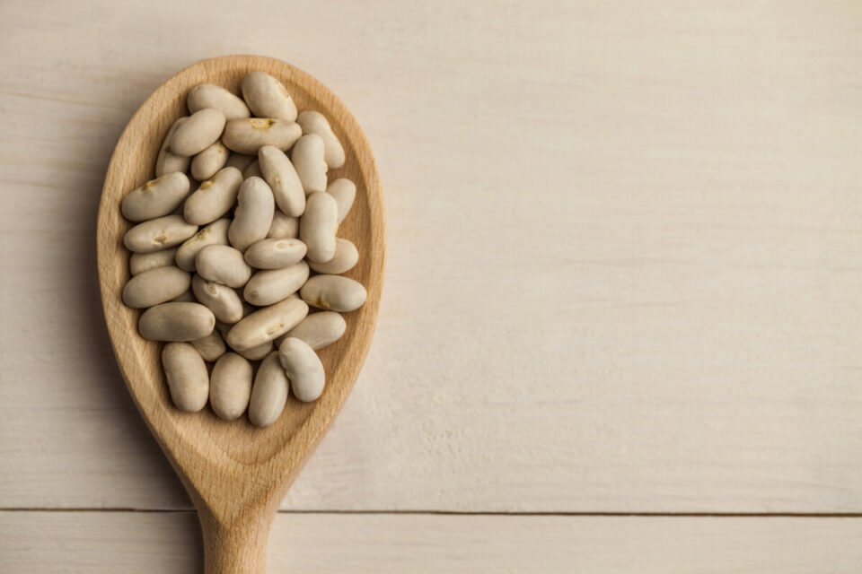 9 Pinto Bean Substitutes (Direct Swaps) Low Histamine Eats