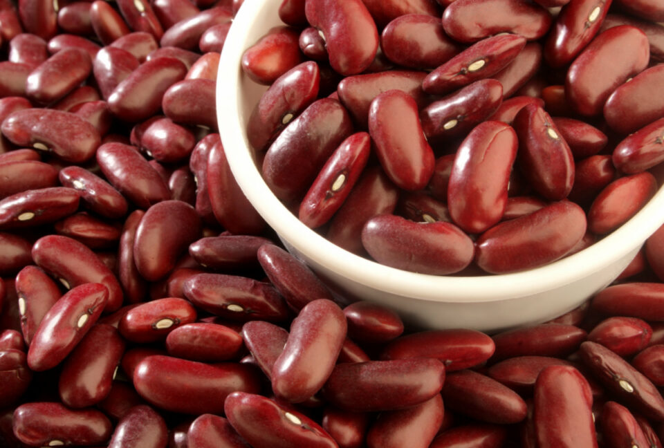 11 Best Kidney Bean Substitutes, Ranked (Direct Swaps) Low Histamine Eats