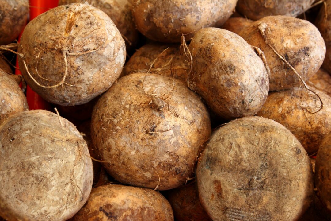 7 Best Jicama Substitutes (for Salads & More) Low Histamine Eats