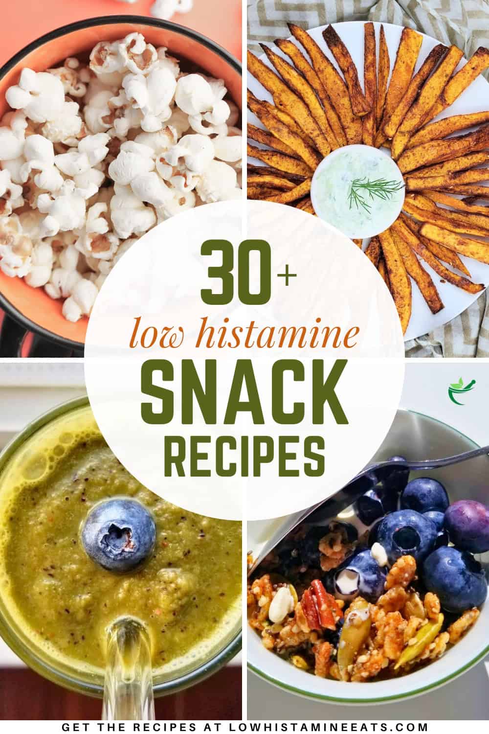 A bright and refreshing collage showcasing a variety of low histamine snack recipes