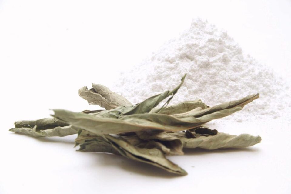 Allulose vs. Stevia (Nutrition, Pros & Cons, and Uses) Low Histamine Eats