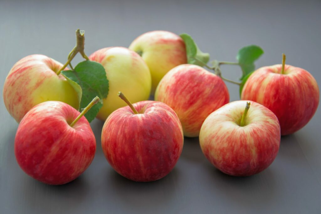 The Best Apples for Juicing (18 Varieties to Try!)