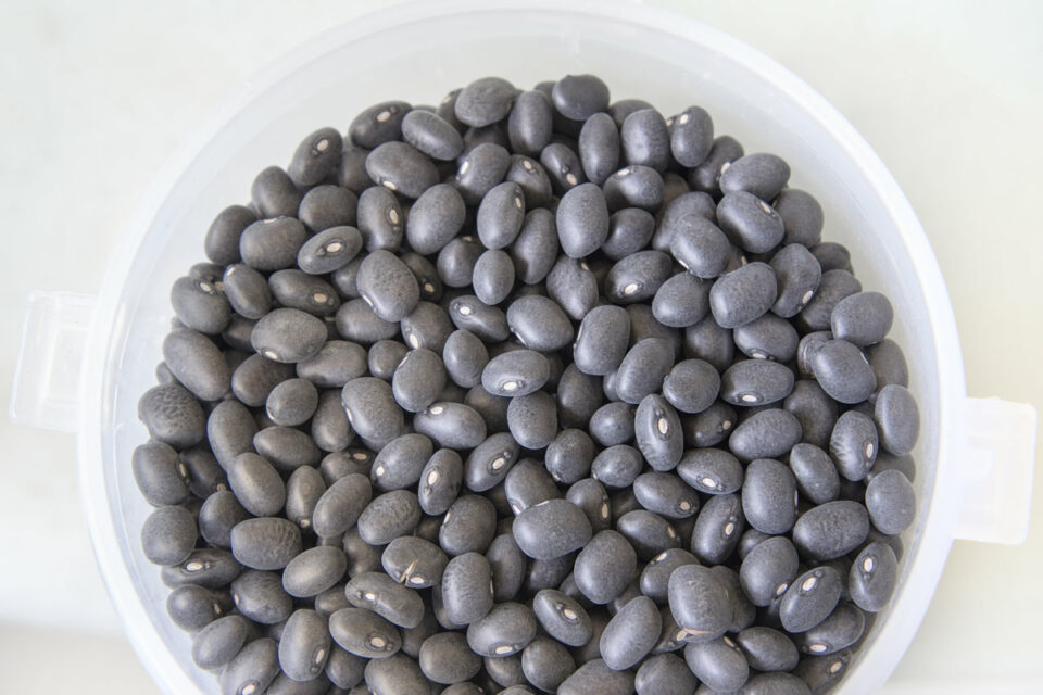 11 Best Black Bean Substitutes, Ranked (Direct Swaps) Low Histamine Eats