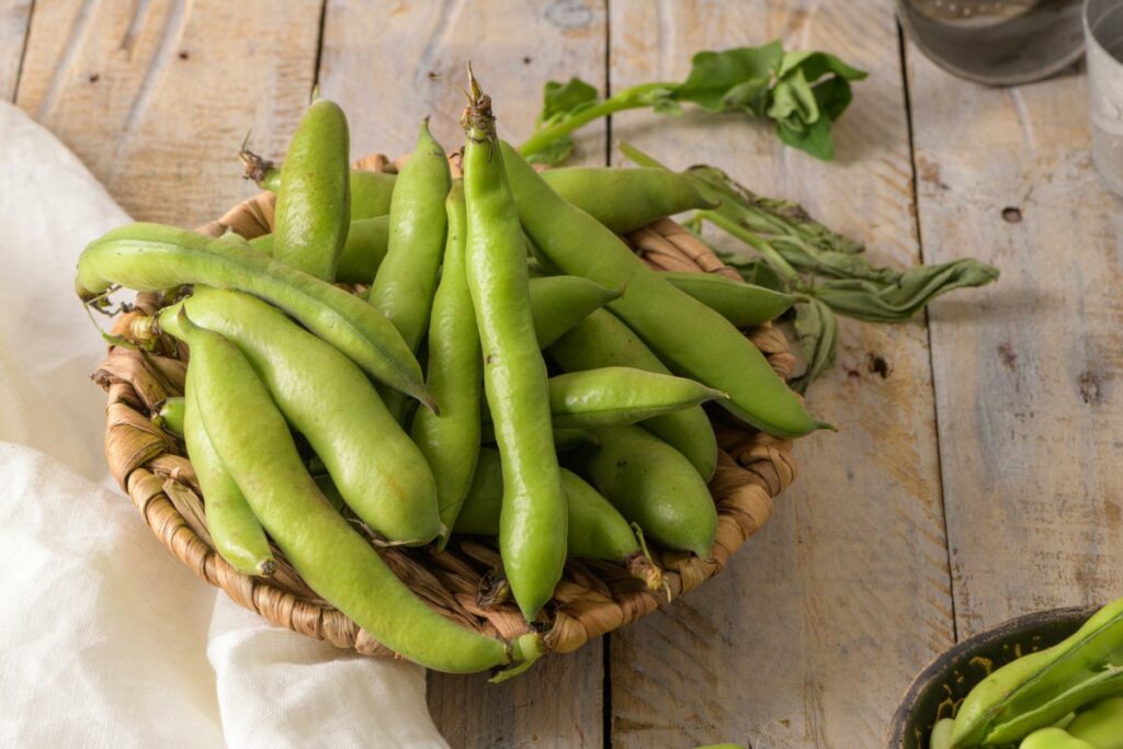 A pile of fresh fava beans in a woven plate.