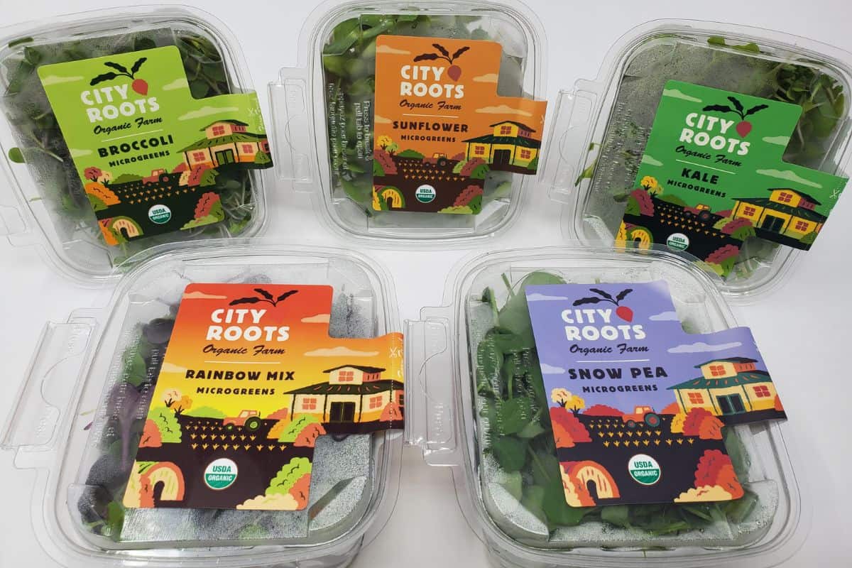 5 different types of microgreen in boxes