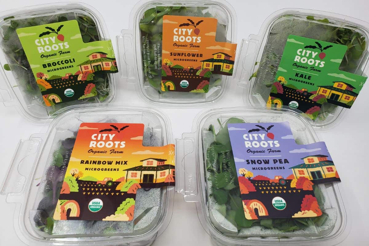 5 different types of microgreen in boxes.