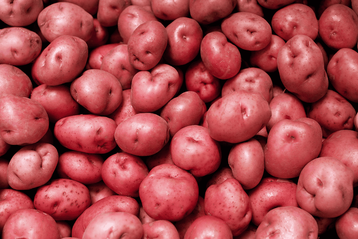 Substitute for Yukon Gold Potatoes - Pinch of Wellness