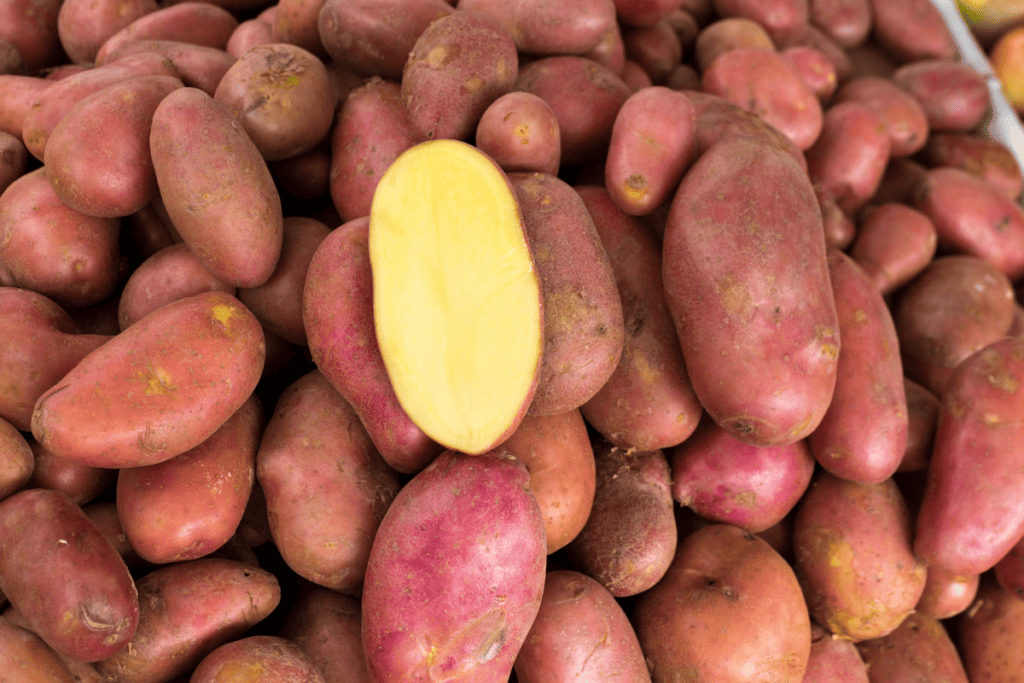 Best Yukon Gold Potatoes Substitutes (10 Alternatives) Low Histamine Eats