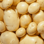 A pile of yukon gold potatoes.