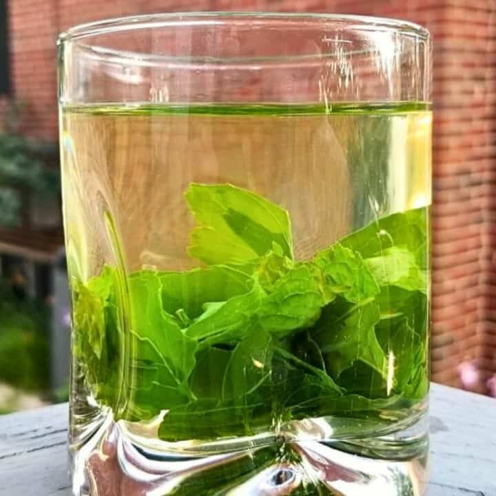 Holy Basil Tea Recipe (Using Fresh or Dried Tulsi)