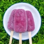 three blueberry coconut milk popsicles on a white dish with a background of plant leaves.