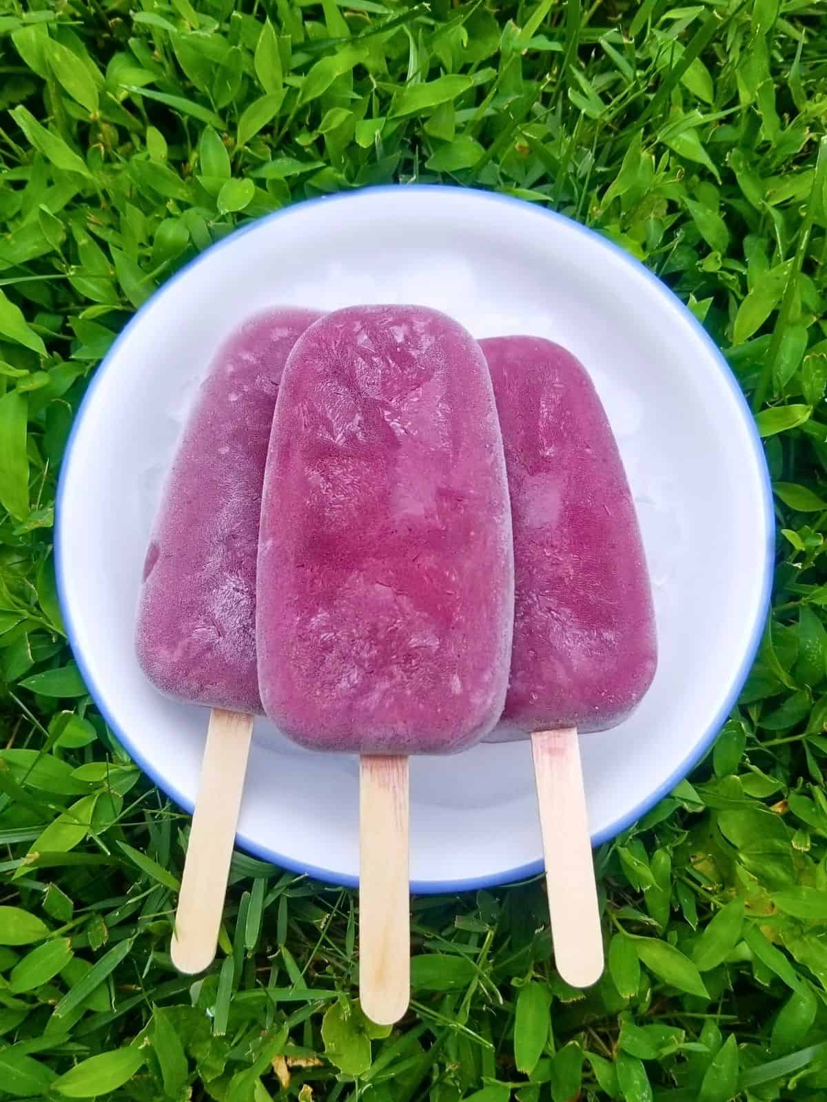 three blueberry coconut milk popsicles on a white dish with a background of plant leaves.