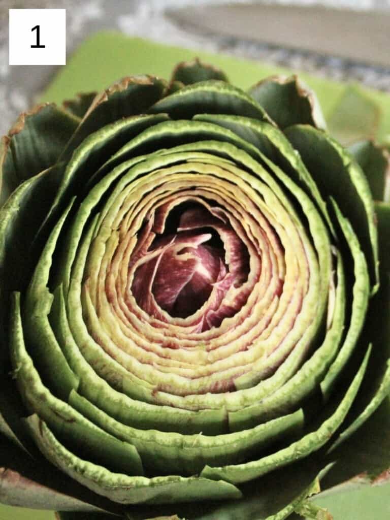 close-up image of a fresh artichoke.