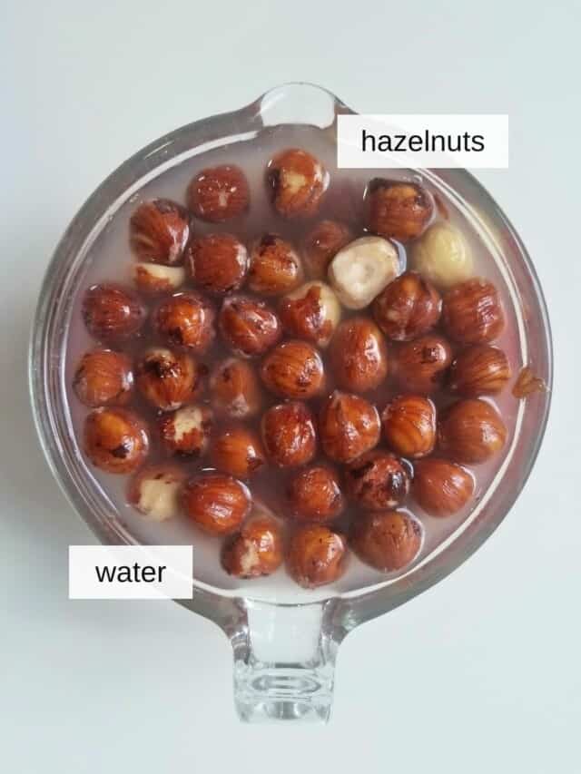 Homemade Hazelnut Milk Recipe (Vegan Version) Low Histamine Eats