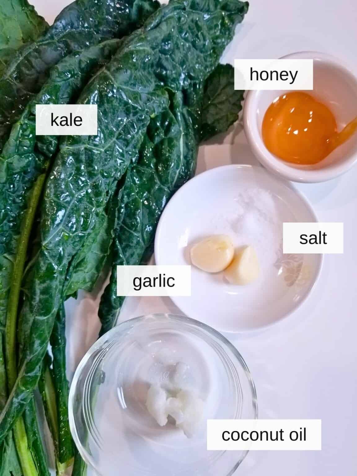 Crispy Honey Garlic Kale Chips (Easy & Healthy) Low Histamine Eats
