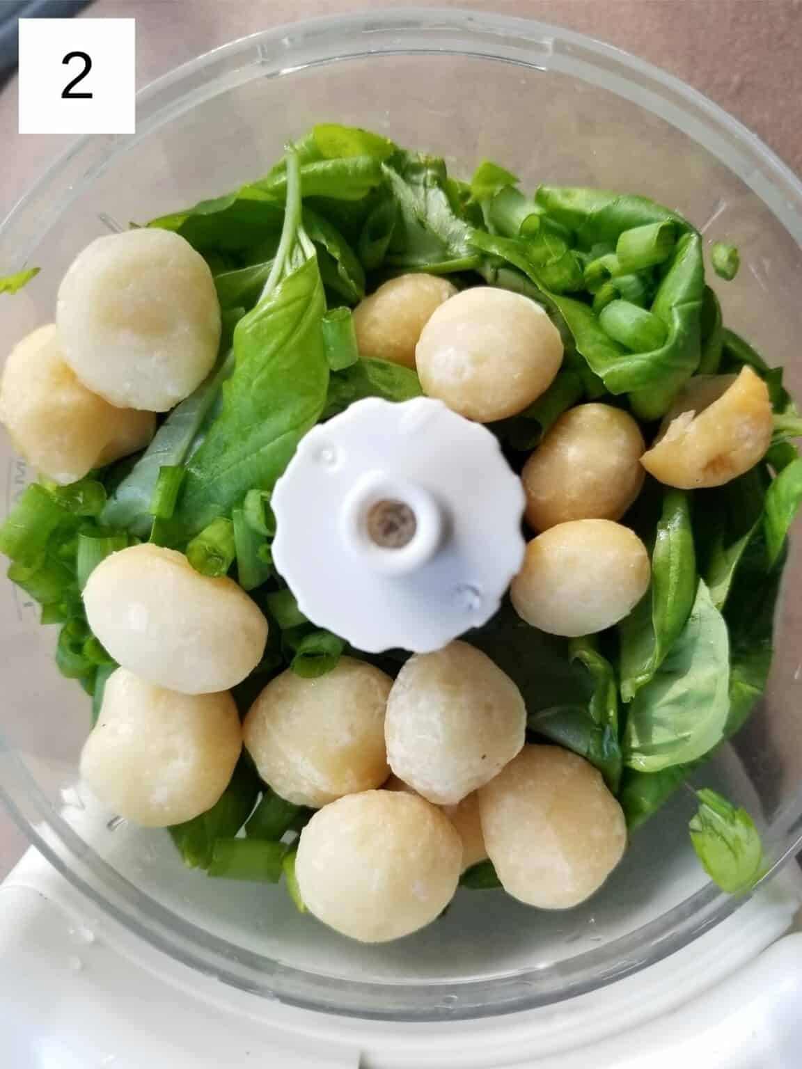 DairyFree Macadamia Pesto (Low FODMAP, AIP) Low Histamine Eats