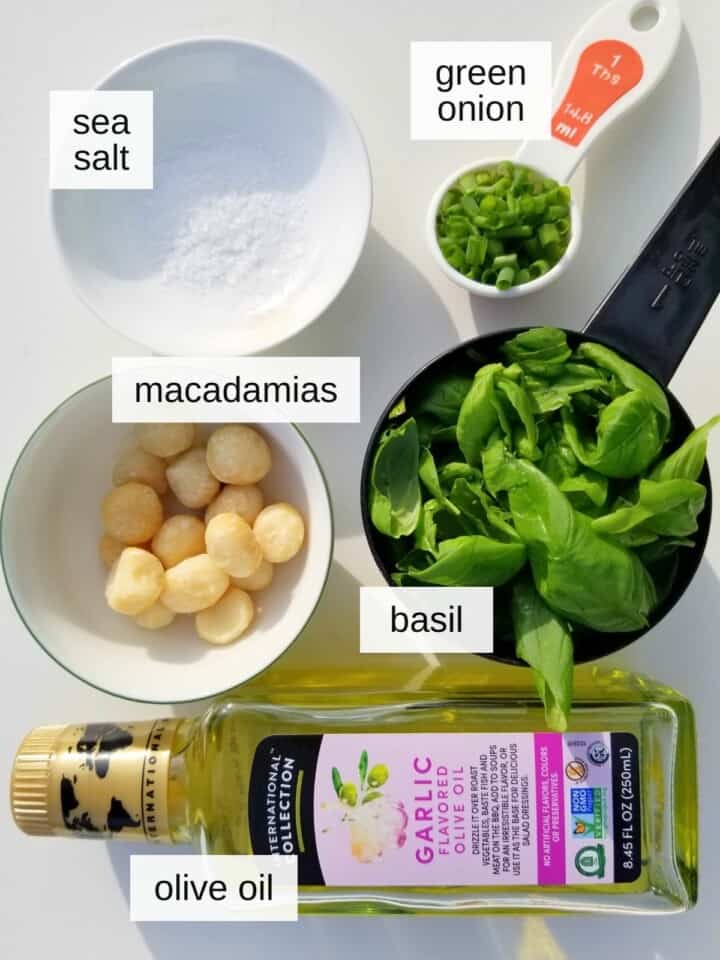 DairyFree Macadamia Pesto (Low FODMAP, AIP) Low Histamine Eats