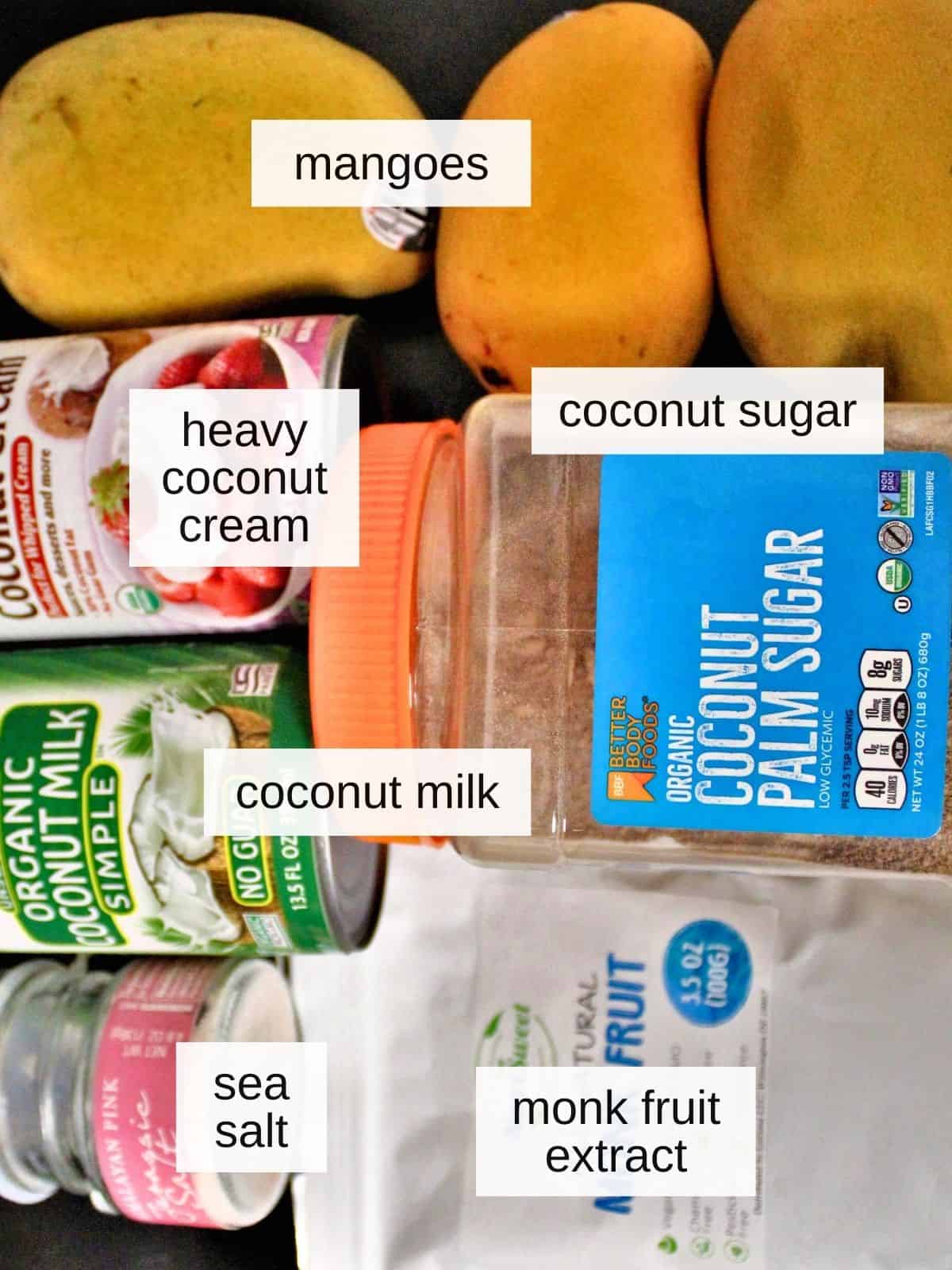ingredients for mango sticky rice, including sea salt, coconut milk, heavy coconut cream, monk fruit extract, coconut sugar, and mangoes.