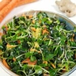a bowl full of microgreen salad with fresh ginger dressing.