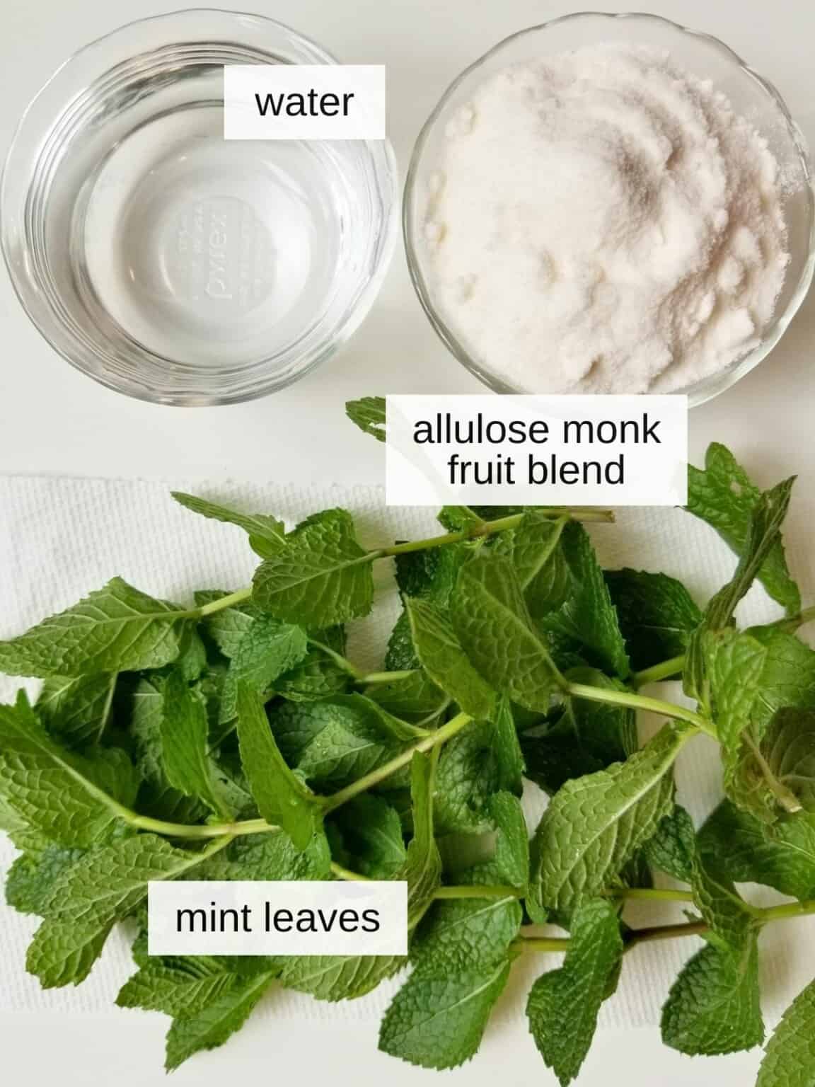 Fresh Mint Simple Syrup (SugarFree Option) Low Histamine Eats