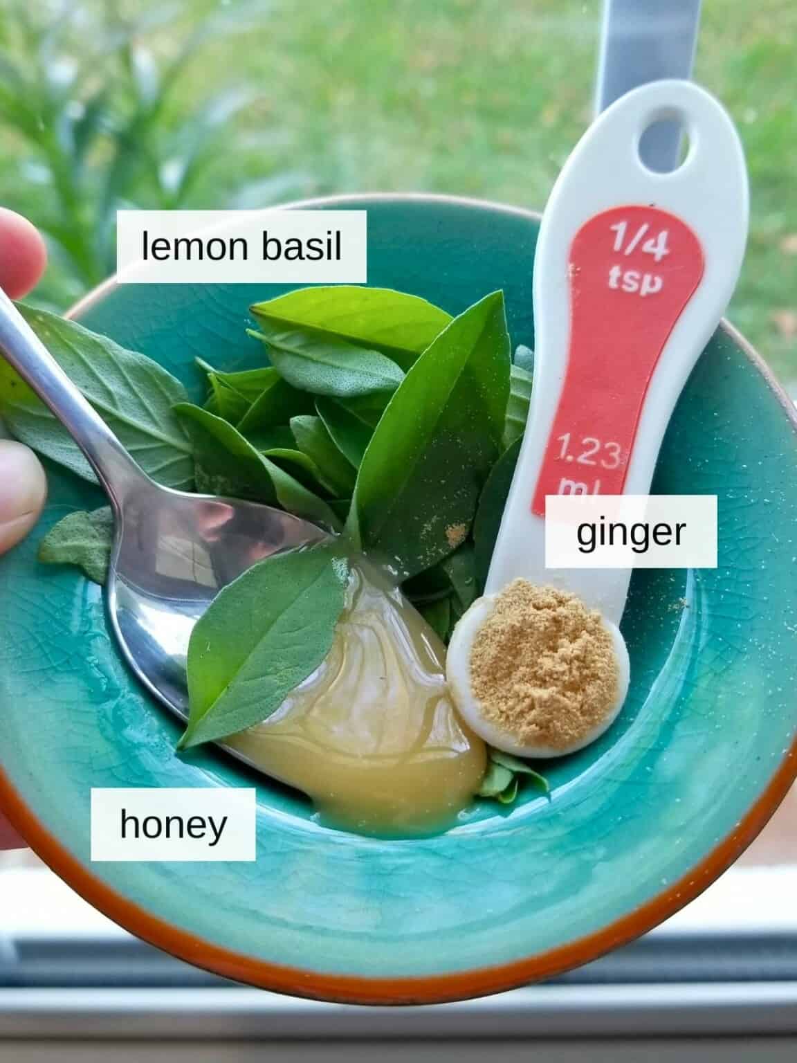 How to Make Tea With Lemon Basil (Fresh or Dried) Low Histamine Eats