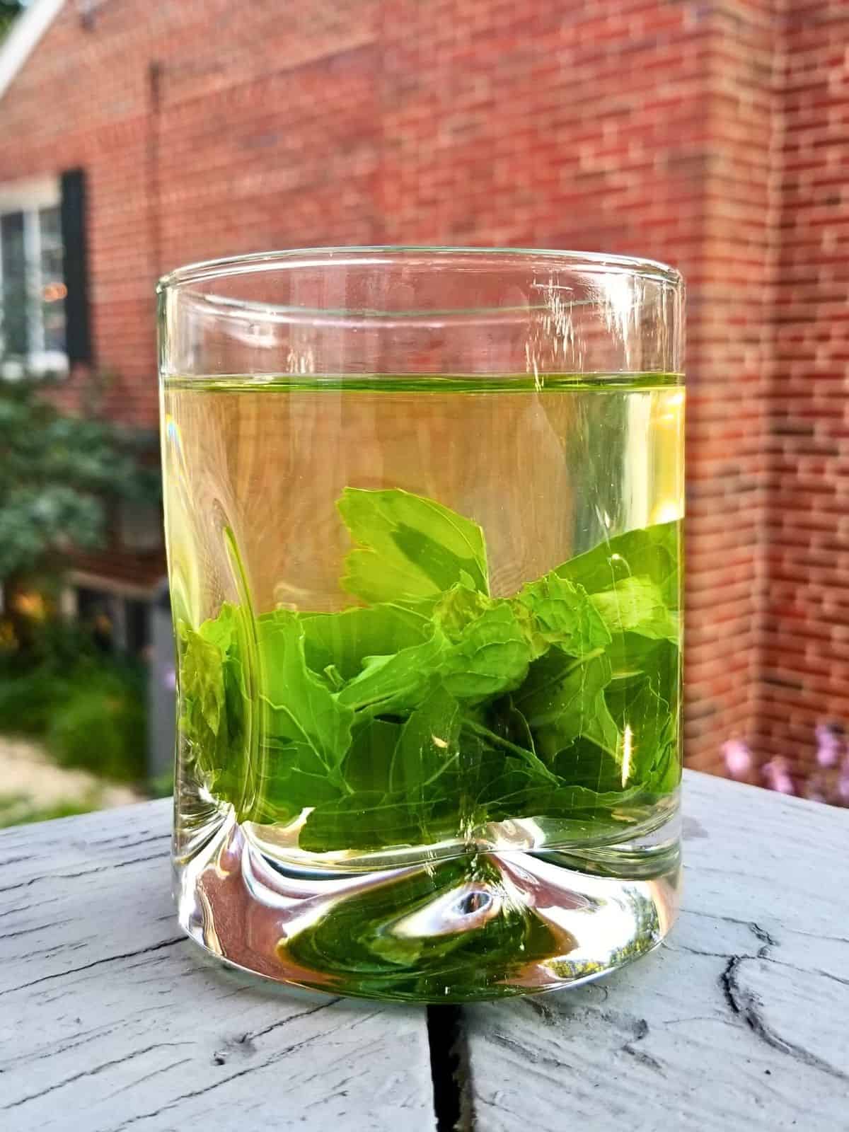 Holy Basil Tea Recipe Using Fresh or Dried Tulsi Low Histamine