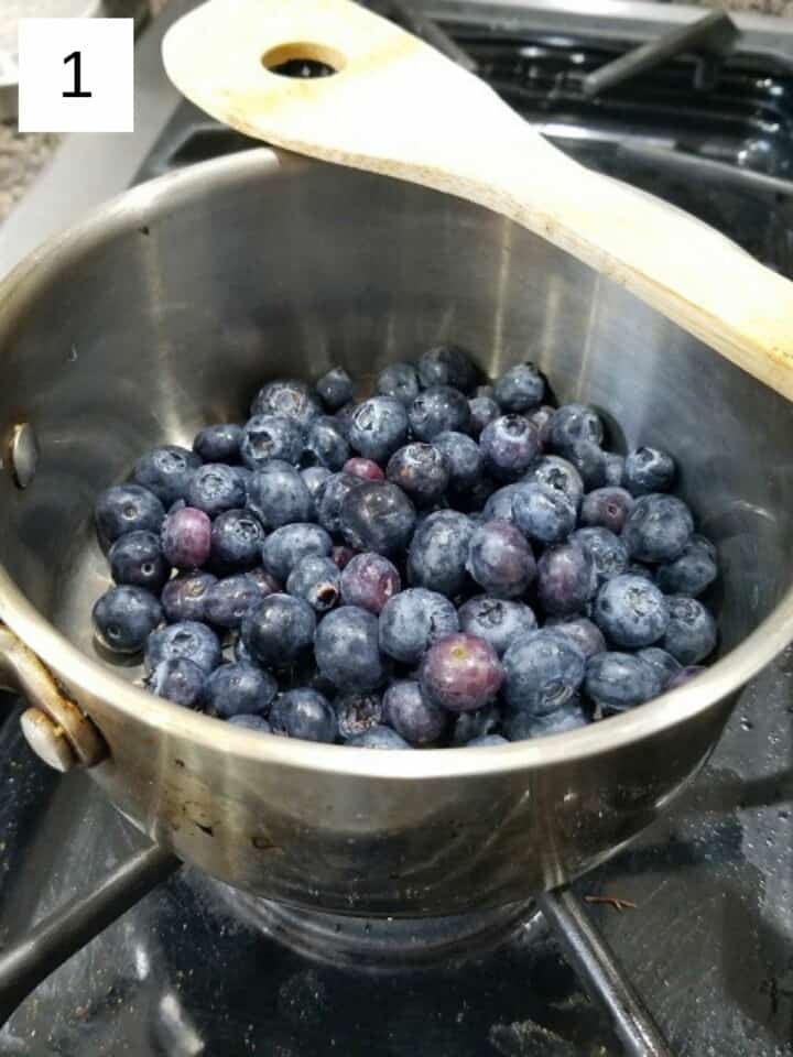 Easy Vanilla Blueberry Jam (No Pectin) Low Histamine Eats