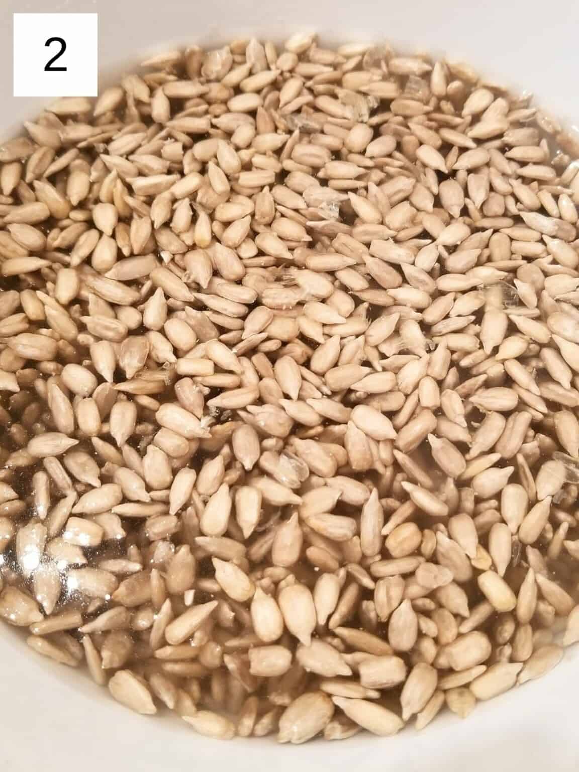 Vegan Sunflower Seed Pesto (No Lemon) Low Histamine Eats