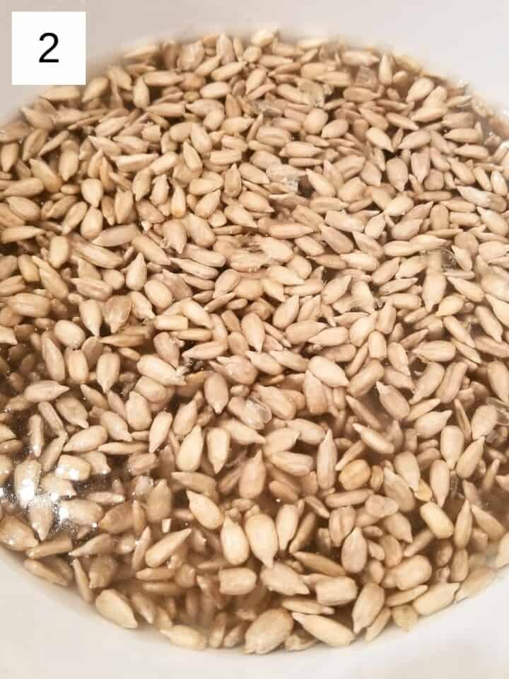 Vegan Sunflower Seed Pesto (No Lemon) Low Histamine Eats