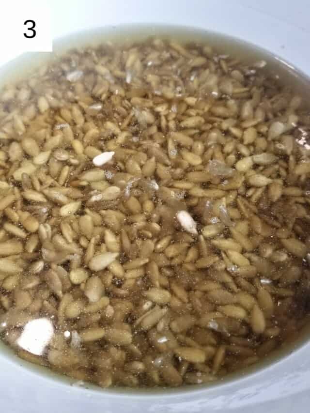 Vegan Sunflower Seed Pesto (No Lemon) Low Histamine Eats