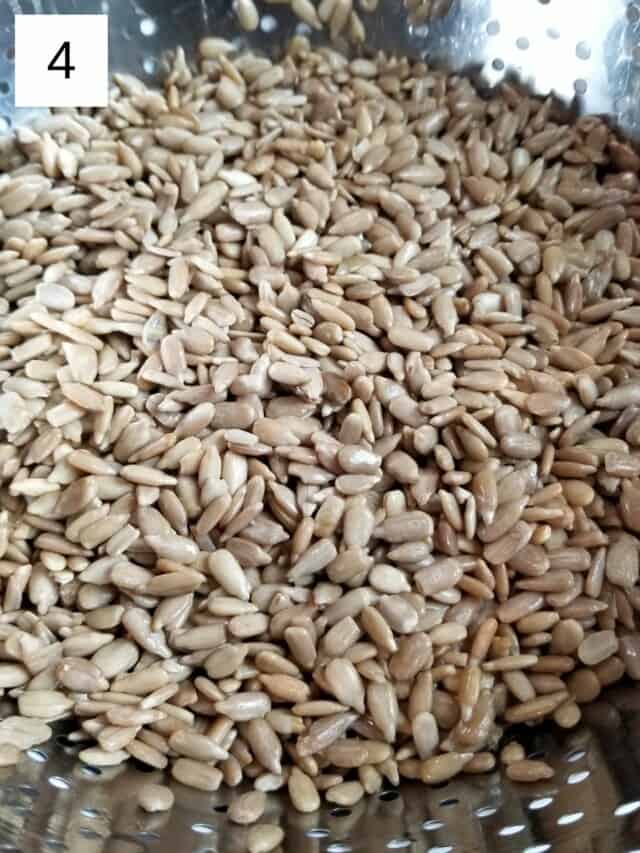 Vegan Sunflower Seed Pesto (No Lemon) Low Histamine Eats