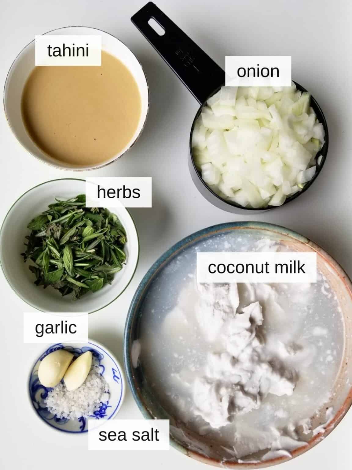 Creamy Coconut Milk Pasta Sauce (Vegan, No Tomato) Low Histamine Eats