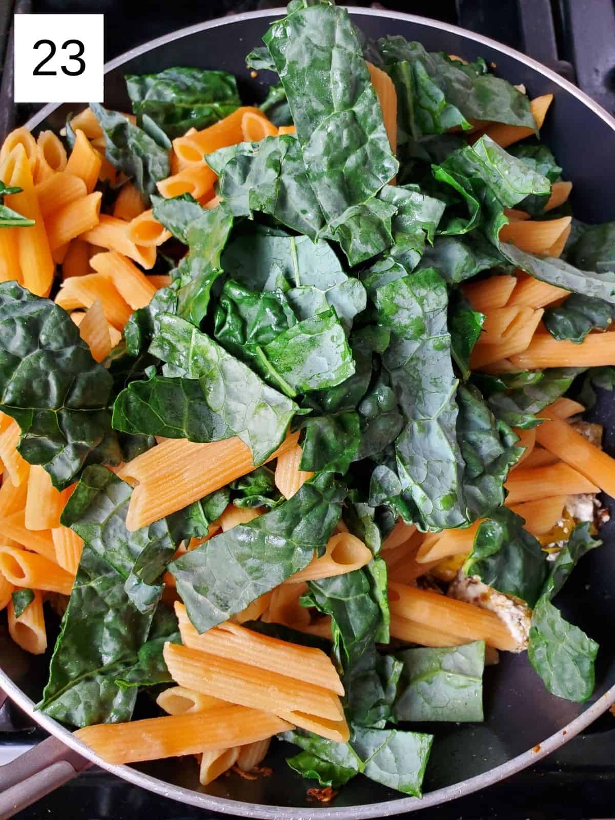 cooked pasta and kale leaves on top of seasoned delicata squash cubes.