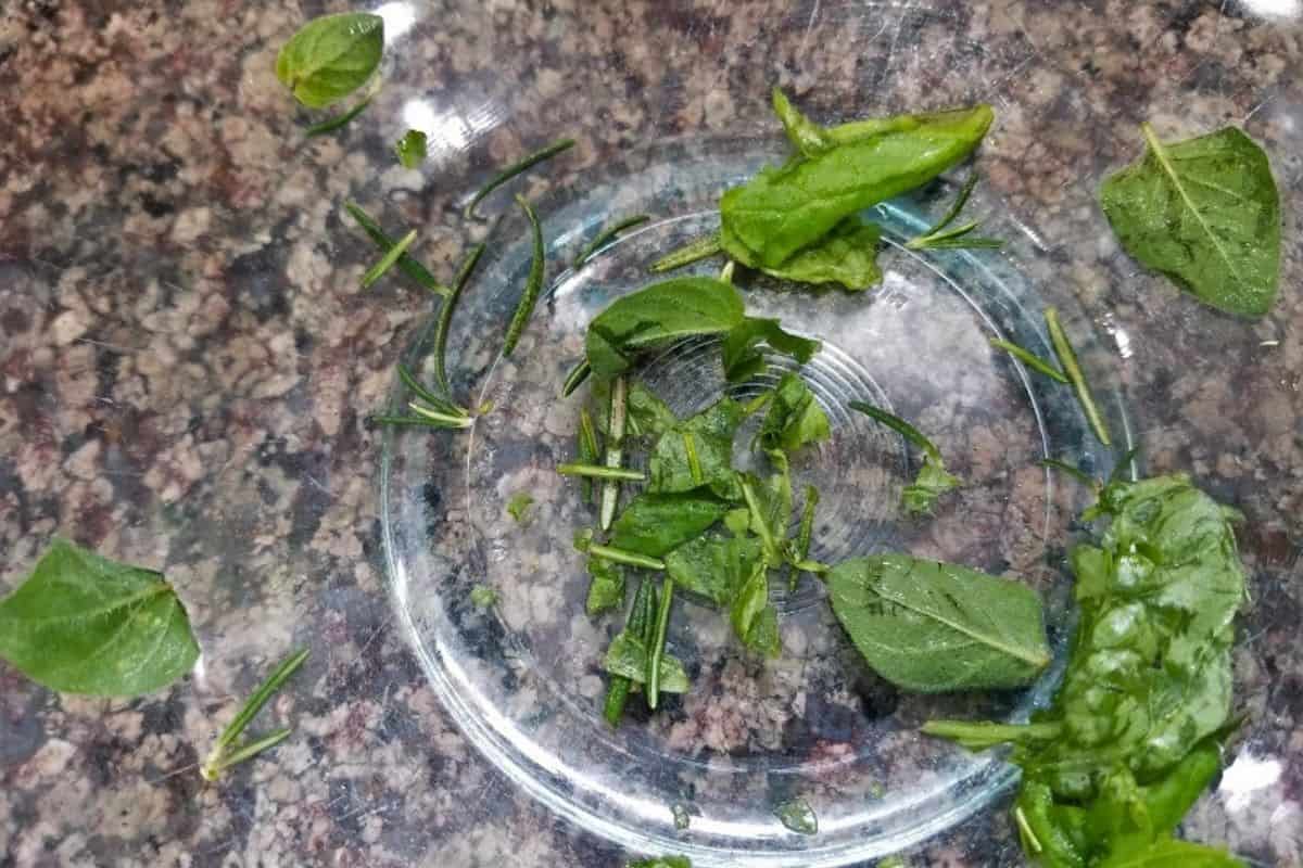 basil, rosemary, and oregano leaves in a glass bowl.