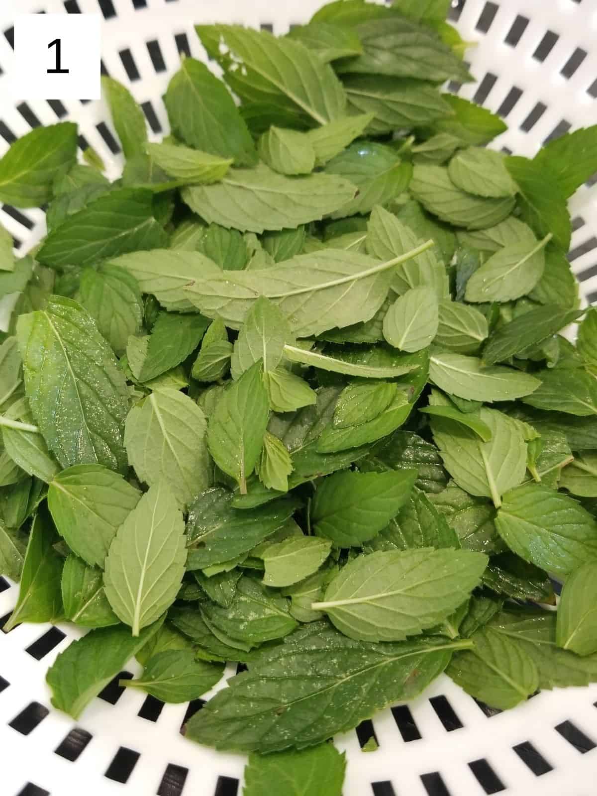 fresh peppermint leaves in a white plastic strainer.
