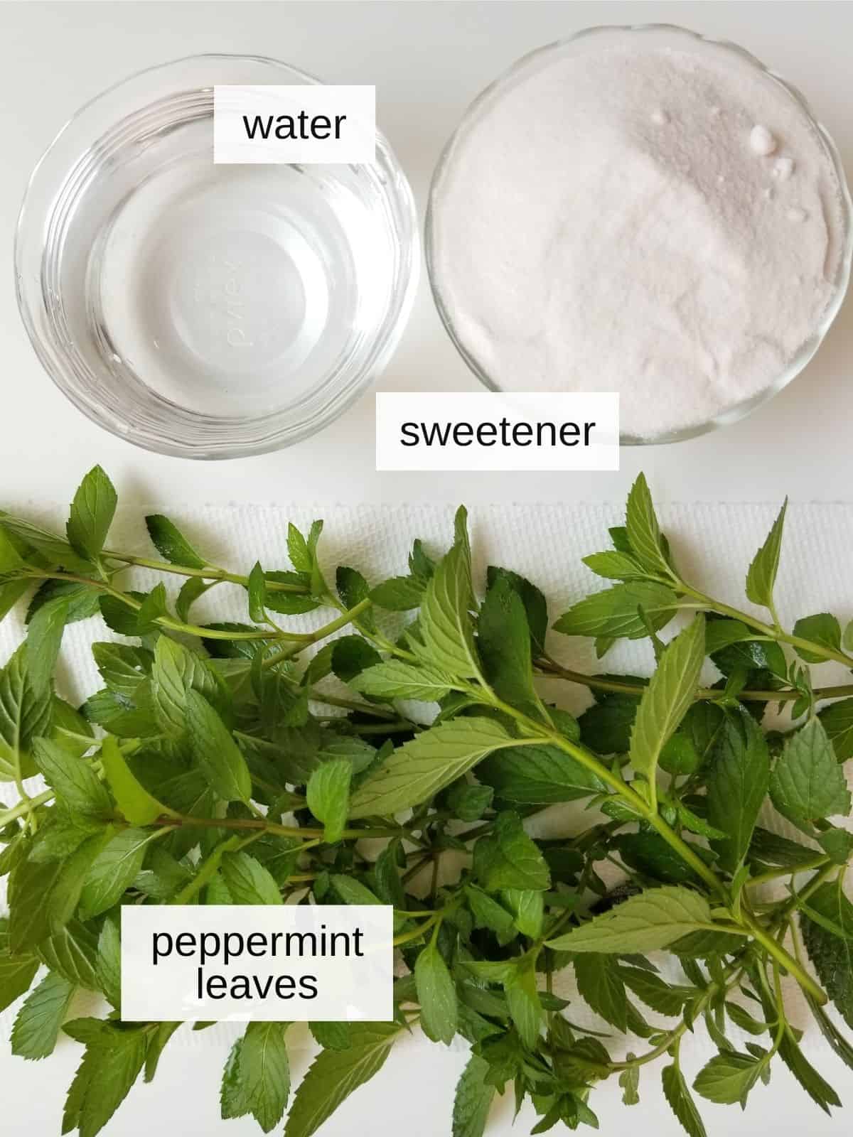 ingredients for peppermint syrup, including water, sweetener, and fresh peppermint leaves.
