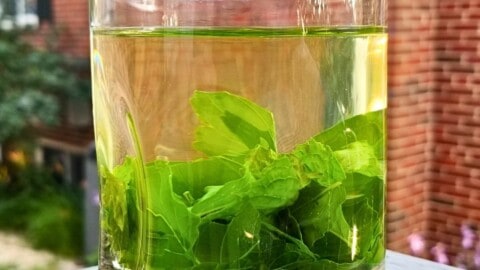 Tulsi Tea w Mint Holy Basil Tea Recipe