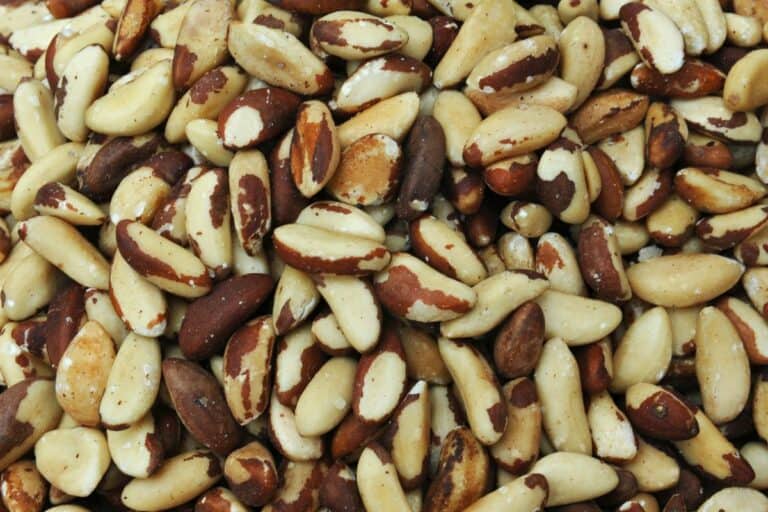 Low Histamine Nuts and Seeds Guide) Low Histamine Eats