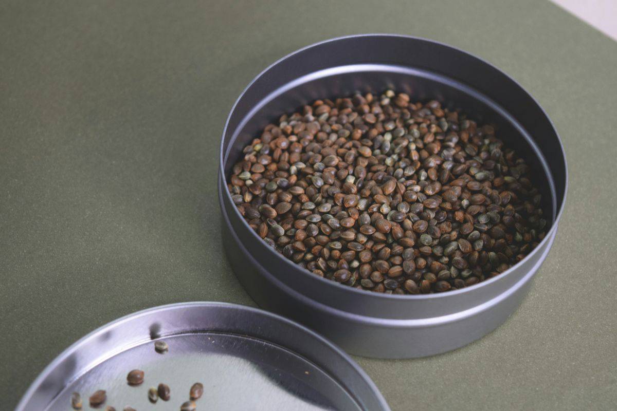 brown and black beans in round stainless steel pet bowl.