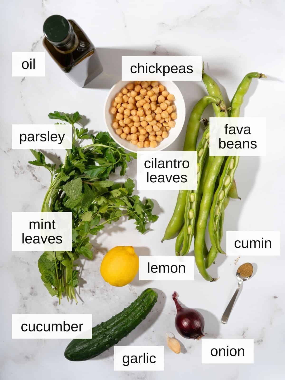 ingredients for fava bean and chickpea salad, including oil, parsley, cilantro leaves, mint leaves, lemon, cumin, cucumber, garlic, onion, chickpeas, and fava beans.