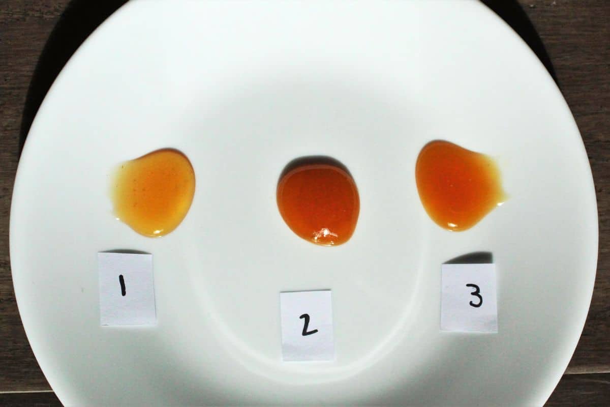 Droplets of Manuka honey from different brands placed on a plate, with numbered labels.