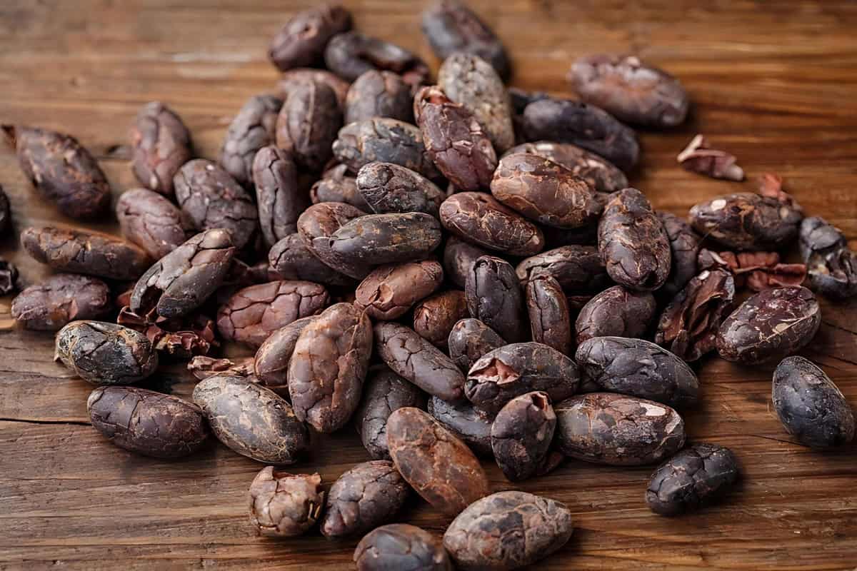 Fermented cocoa beans.