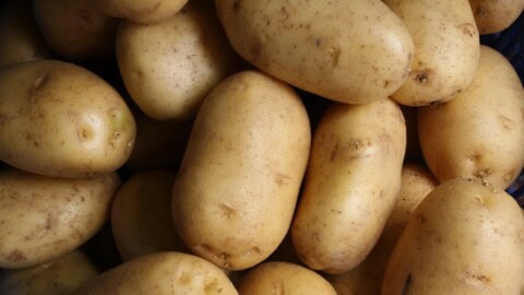 A pile of fresh potatoes.